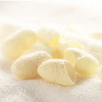 Harumam shops : 絹生活研究所 COCONICAL for Dogシャンプー